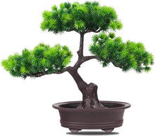 Load image into Gallery viewer, Bonsai Bliss™  - Bonsai Tree
