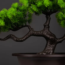 Load image into Gallery viewer, Bonsai Bliss™  - Bonsai Tree
