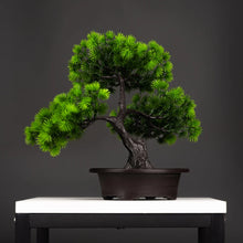 Load image into Gallery viewer, Bonsai Bliss™  - Bonsai Tree
