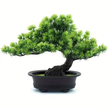 Load image into Gallery viewer, Bonsai Bliss™  - Bonsai Tree
